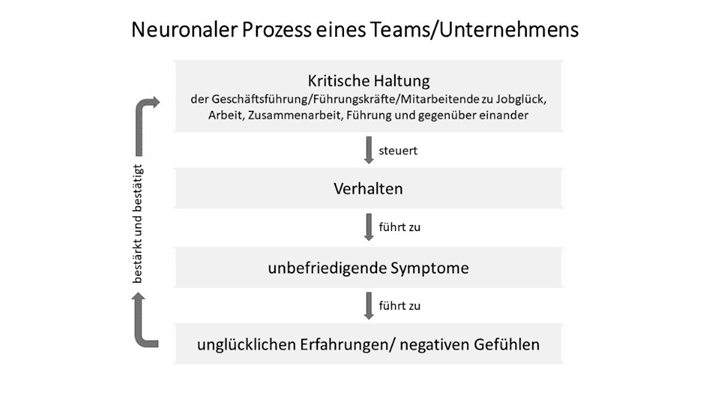 Flussdiagramm mit dem Titel "Neuronaler Prozess eines Teams/Unternehmens", das zeigt, wie eine kritische Haltung in einer linearen Abfolge zu Verhaltensweisen, unbefriedigenden Symptomen und negativen Gefühlen führt.